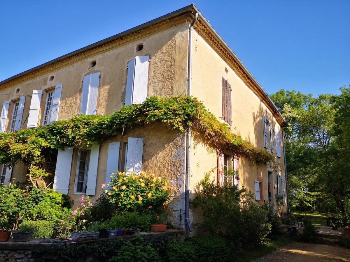 Mule Bed & Breakfast Lagardere Dış mekan fotoğraf