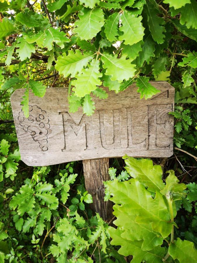 Mule Bed & Breakfast Lagardere Dış mekan fotoğraf